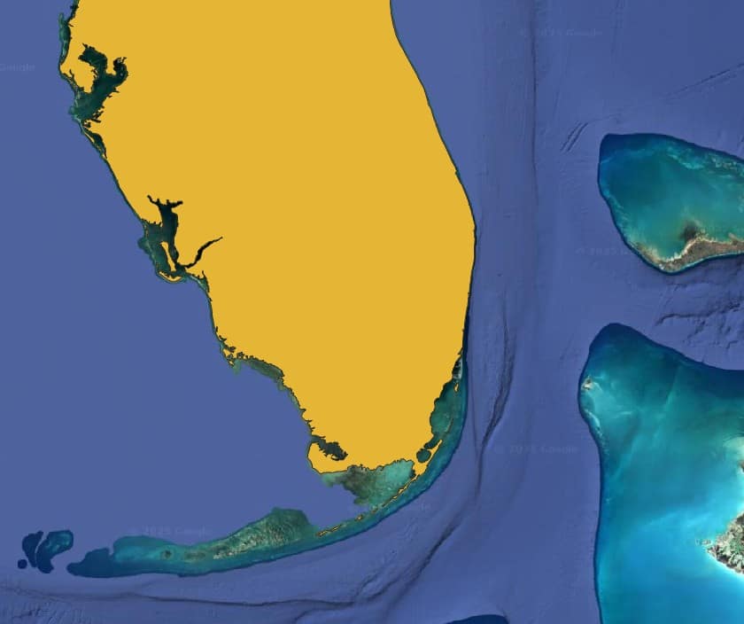 Map with coloured polygons showing global snake species ranges.