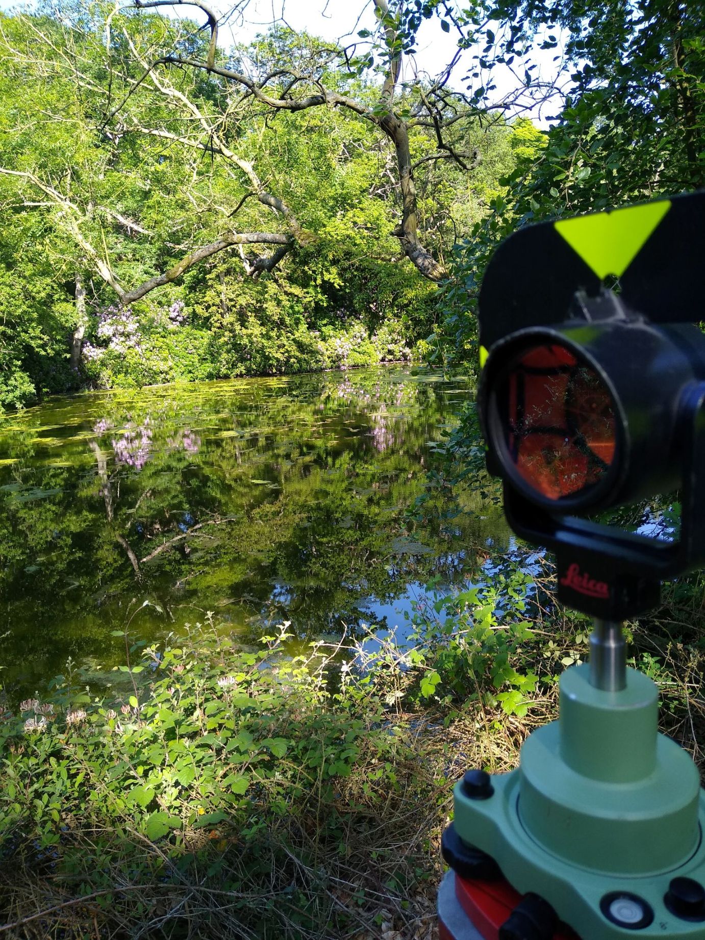 Holt Hall Topographic Survey CADS Surveys